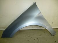 Kotflgel links vorn <br>MERCEDES-BENZ B-KLASSE (W245) B 150