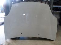 Motorhaube <br>FIAT BRAVO II (198) 1.6 D MULTIJET