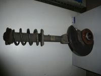 Federbein rechts vorn <br>VW PASSAT (3C2) 2.0 TDI