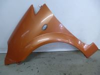 Kotflgel links vorn <br>CITROEN C3 PLURIEL (HB_) 1.6